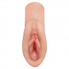 Zonă Realistă De Vis Natural Thumb 1
