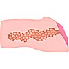 Alexis Texas Realistic Stroker Natural Thumb 1