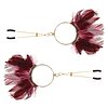 Cleme Sfarcuri Tweezers With Feathers Auriu Thumb 1