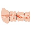 Crazy Bull Flesh 3D Natural Thumb 4