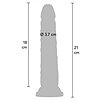 Dildo Deluxe Dual Density 21cm Thumb 6