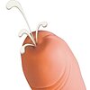 Dildo Ejaculator You2Toys Natural Thumb 2