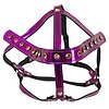 Head Harness Bad Kitty Roz Thumb 1
