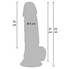 Hidden Desire — Dildo Realist 21 cm cu Ventuză Discretă Thumb 7