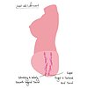 Hidden Desire Juicy Double D 5Kg Thumb 6