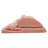 Masturbator Crazy Bull Mens Natural Thumb 7