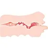 Masturbator Real Mouth Stroker Natural Thumb 1