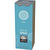 Spray Ejaculare Precoce Shiatsu 15ml Thumb 2