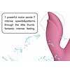 Vibrator Rabbit Lovetoy Dreamer II Roz Thumb 3