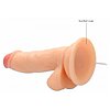 Vibrator Realistic Penis 15cm Natural Thumb 9
