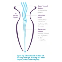 Beginners Anal Gaper Transparent