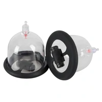 Cupe Vibratoare Pentru Sfârcuri Bad Kitty Transparent