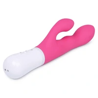 Lovense Nora Vibrator Roz