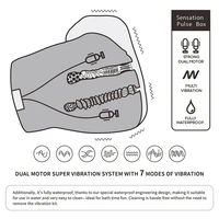 LoveToy Streetgirls Sensation Pulse Dual Motor Reîncărcabil