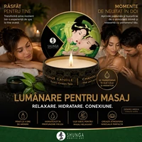Lumânare Masaj Shunga Ceai Verde
