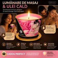 Massage Candle Shunga Aphrod 170g