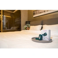 Masturbator Lovense Gush Massager Turcoaz