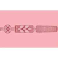 Masturbator Pink Lady Destroya Roz