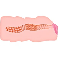 Masturbator Realistic Tori