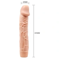 Realistic Vibe Multi-Speed Stimulator 22.5cm