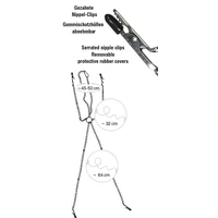 Set Cleme Sextreme Argintiu