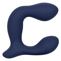 Stimulator Prostată Viceroy Expert Probe Albastru