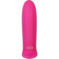Vibrator Evolved Pretty In Roz