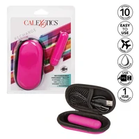 Vibrator Mic Rechargeable Hideaway Roz