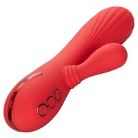 Vibrator Rabbit Palisades Passion Rosu