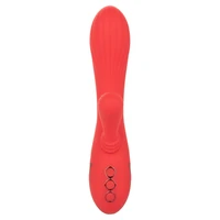 Vibrator Rabbit Palisades Passion Rosu