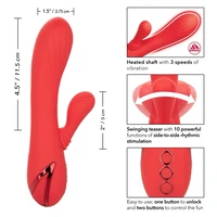 Vibrator Rabbit Palisades Passion Rosu