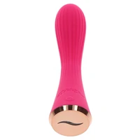 Vibrator Rose Dublă Densitate Roz
