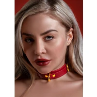 Zgardă D-Ring Collar Deluxe Roșu