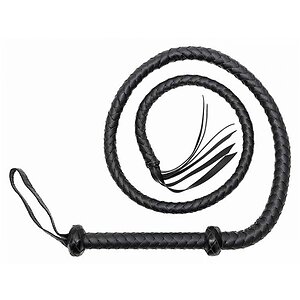 Bici Whip 155 cm Negru pe Denysa.ro