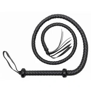 Bici Whip 155 cm Negru pe Denysa.ro