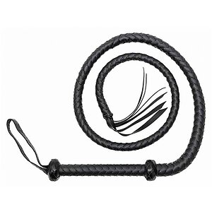 Bici Whip 155 cm Negru