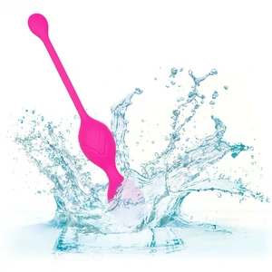 Bile Vaginale Dual Motor Kegel System Roz