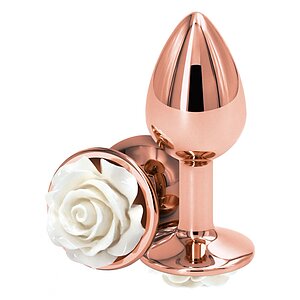 Plug Anal Sigur Pentru Corp Metalic