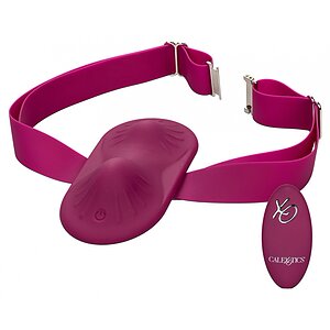 Dual Rider Masator Telecomandă Reîncărcabil Mov pe Denysa.ro