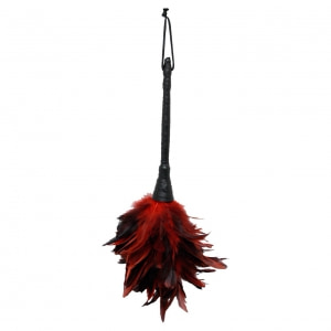 Frisky Feather Duster Roșu Frisky Feather Duster Roșu pe Denysa.ro