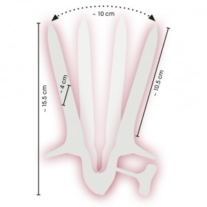 Genital Speculum Argintiu