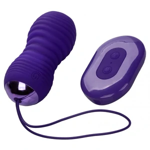 Ou Vibrator Cu Împingere Mov Ou Vibrator Cu Împingere Mov pe Denysa.ro