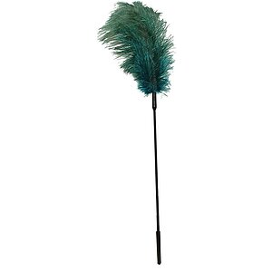 Pana Gadilat Turquoise Feather