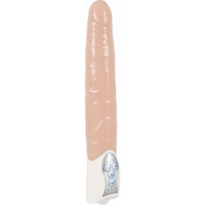 Penis Artificial Cu Vibrații Push It! pe Denysa.ro