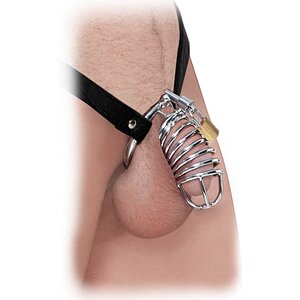 Cușcă Penis Castitate Fetish Fantasy Argintiu pe Denysa.ro
