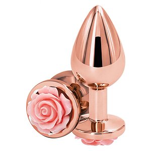 Plug Anal Pentru Jocuri Sexuale Anal