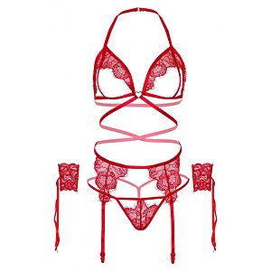 Set Leg Avenue Open Renata Roșu pe Denysa.ro