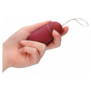 Vibrator 10 Speed Remote Egg Big Roșu