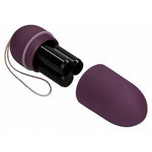 Vibrator 10 Speed Remote Vibrating Egg Big Mov
