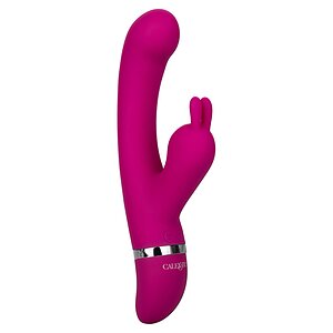 Vibrator Foreplay Frenzy Bunny Kisser Roz